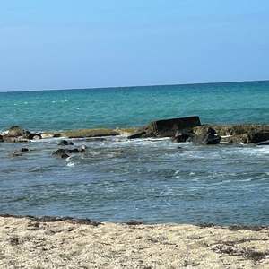 Meet your Posher, Shelly